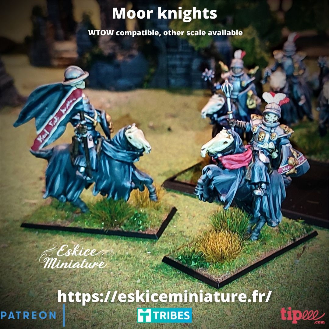 Fantasy TOW AOS KoW WC Moor Knight on Horses 32mm (10)