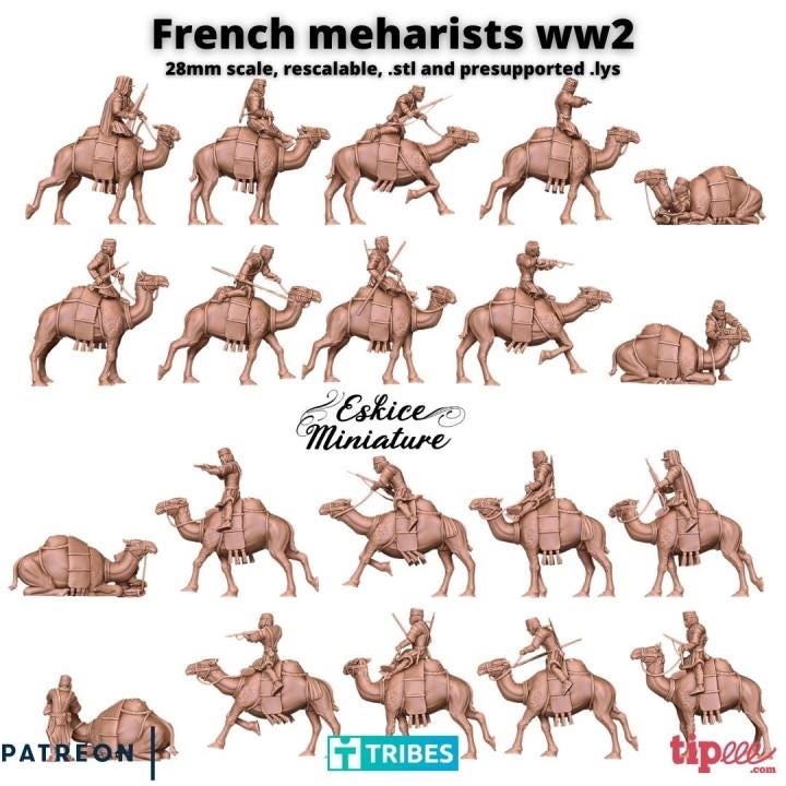 WWII French Camel Cavalry Unit (10 models) Various Scales Historical Wargaming