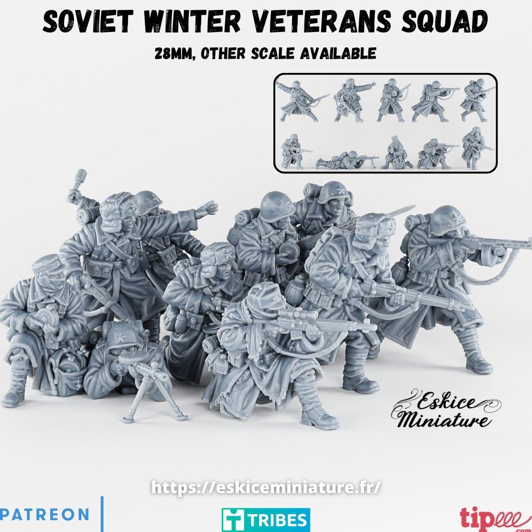 WWII Soviet Veteran Winter Infantry Squad (10 models) Various Scales Historical Wargaming
