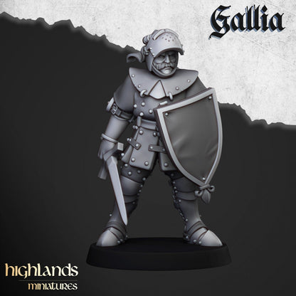 Highland Miniatures Knights of Gallia on Foot x20 Fantasy AoS TOW