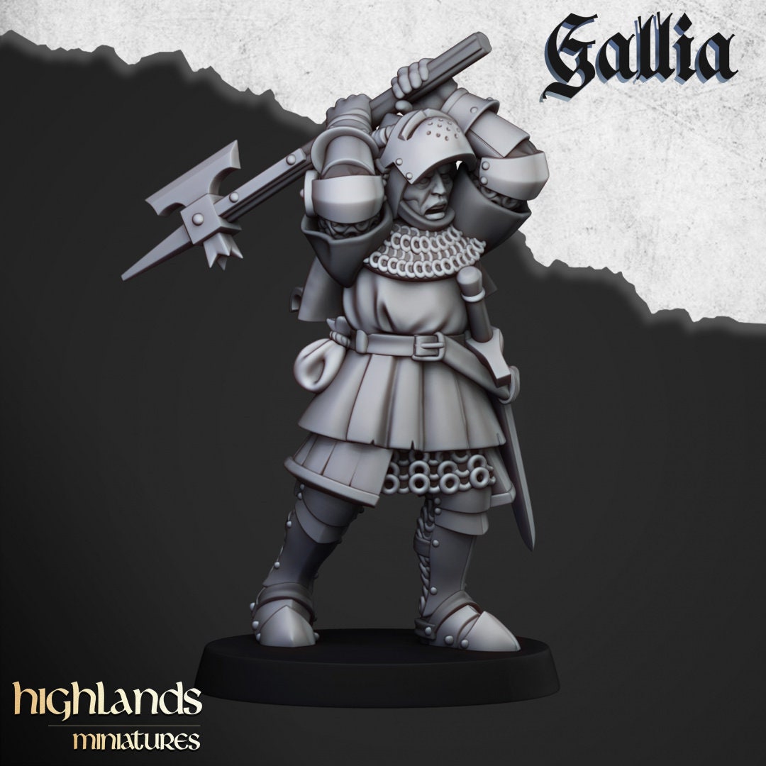 Highland Miniatures Knights of Gallia on Foot x20 Fantasy AoS TOW