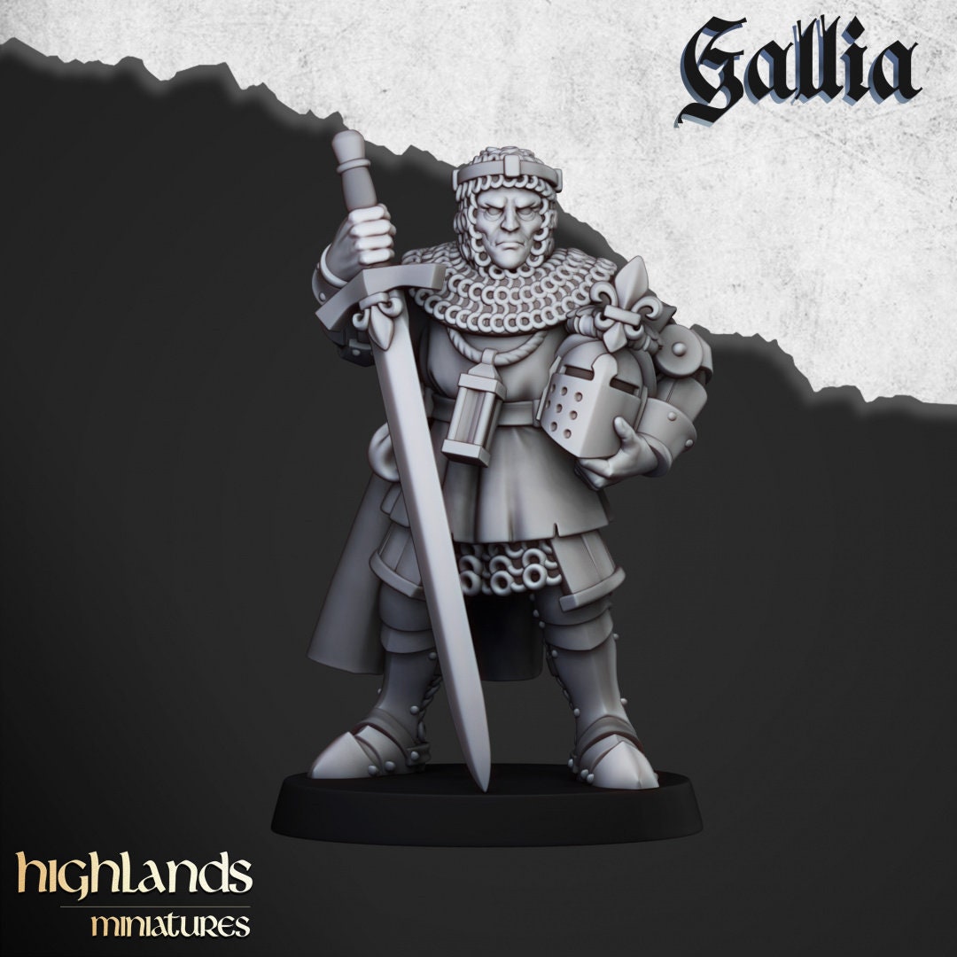 Highland Miniatures Knights of Gallia on Foot x20 Fantasy AoS TOW