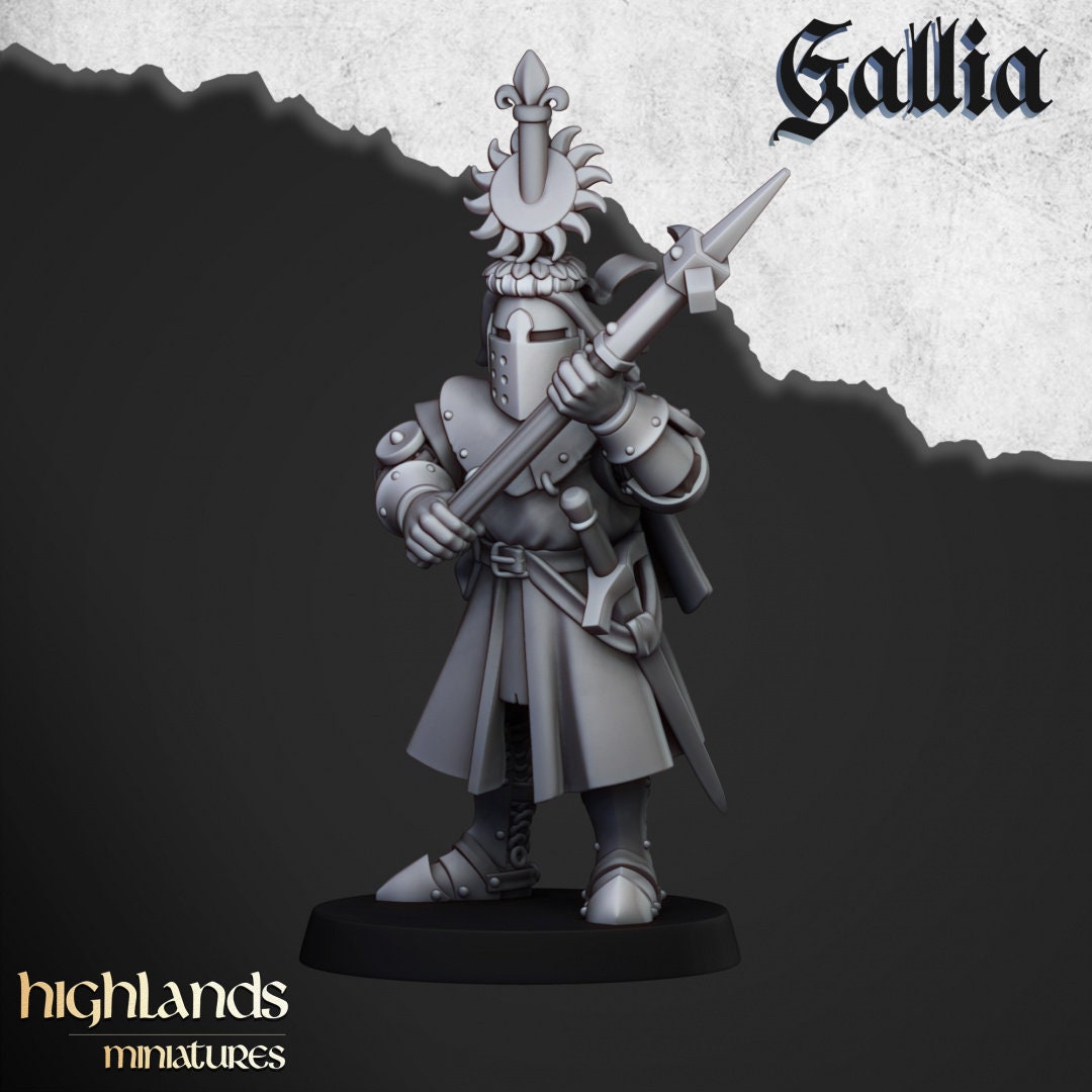 Highland Miniatures Knights of Gallia on Foot x20 Fantasy AoS TOW