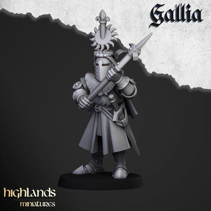 Highland Miniatures Knights of Gallia on Foot x20 Fantasy AoS TOW