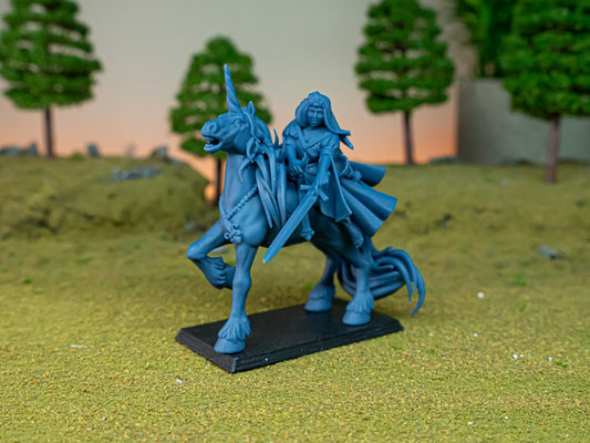 Highland Miniatures Lady of Gallia on Unicorn Fantasy TOW AOS