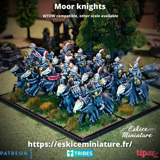 Fantasy TOW AOS KoW WC Moor Knight on Horses 32mm (10)