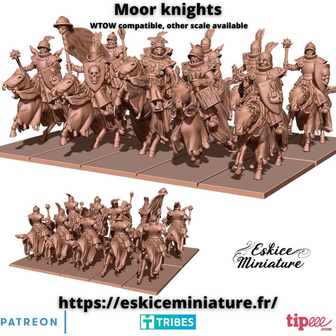 Fantasy TOW AOS KoW WC Moor Knight on Horses 32mm (10)