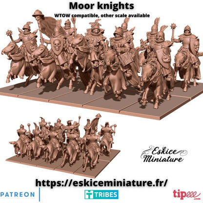 Fantasy TOW AOS KoW WC Moor Knight on Horses 32mm (10)