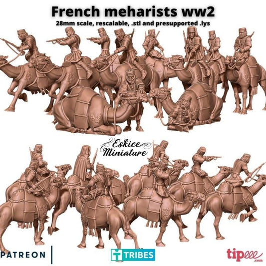 WWII French Camel Cavalry Unit (10 models) Various Scales Historical Wargaming
