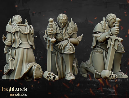 Warriors of the Lady with Command Group 10 multipart models Highland Miniatures Various Scales (US tariffs are pre-paid by us)