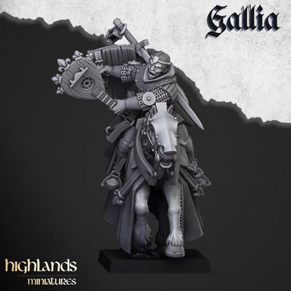 Questing Knights with Command Group 10 models Highland Miniatures Gallia Cavalry Various Scales (US tariffs are pre-paid by us)