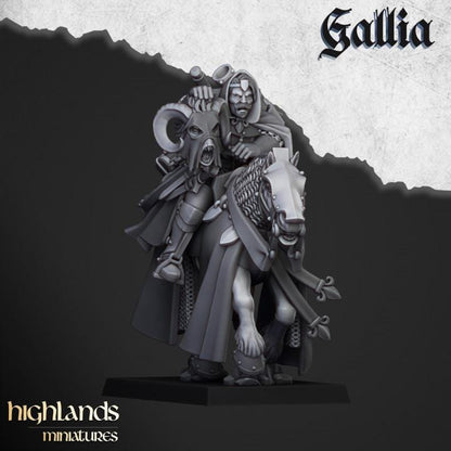 Questing Knights with Command Group 10 models Highland Miniatures Gallia Cavalry Various Scales (US tariffs are pre-paid by us)