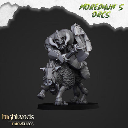 Mounted Orcs with Spears 10 models Highland Miniatures Various Scales (US tariffs are pre-paid by us)
