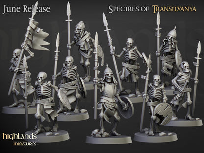 Skeleton Warriors with Spears and Command Group 10 models Highland Miniatures Transilvanya Undead Various Scales