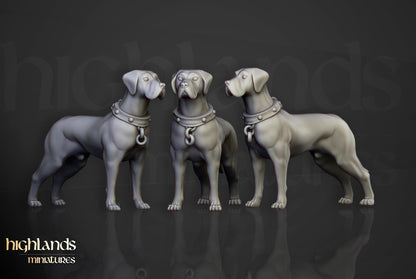 Inquisitorial Band Which Hunters 9 models Highland Miniatures Various Scales (US tariffs are pre-paid by us)