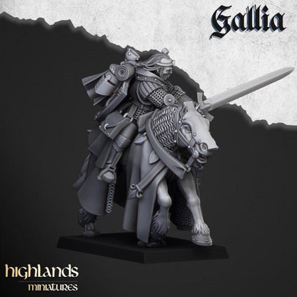 Questing Knights with Command Group 10 models Highland Miniatures Gallia Cavalry Various Scales (US tariffs are pre-paid by us)