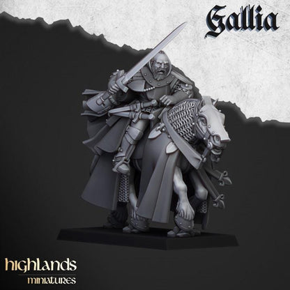 Questing Knights with Command Group 10 models Highland Miniatures Gallia Cavalry Various Scales (US tariffs are pre-paid by us)
