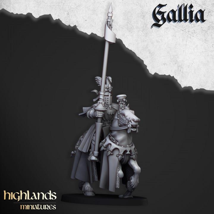 Royal Knights of Gallia with Command Group 10 models Highland Miniatures Cavalry Various Scales (US tariffs are pre-paid by us)