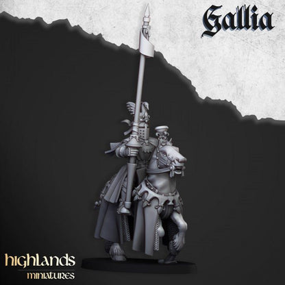 Royal Knights of Gallia with Command Group 10 models Highland Miniatures Cavalry Various Scales (US tariffs are pre-paid by us)