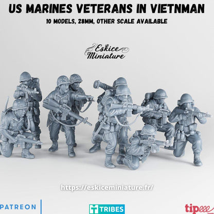 Vietnam War US Marines Veteran Squad (10 models) Various Scales Historical Wargaming (US tariffs are pre-paid by us)