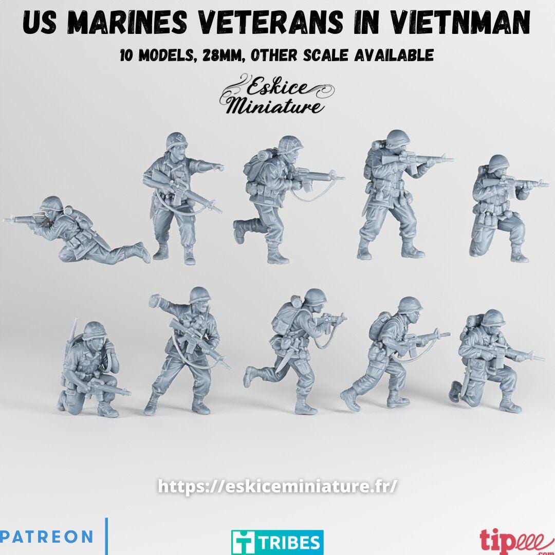 Vietnam War US Marines Veteran Squad (10 models) Various Scales Historical Wargaming (US tariffs are pre-paid by us)