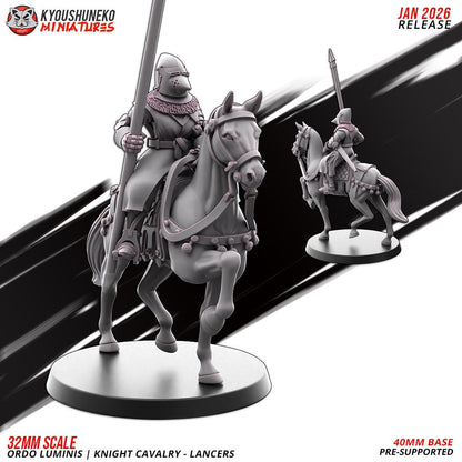 Ancient Chinese Cathay Ordo Luminis Knights Lancers (10 models) Crew Various Scales Historical Wargaming (US tariffs are pre-paid by us)